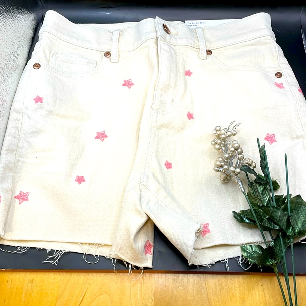 BNWT LOFT Denim Women’s Shorts (000331)